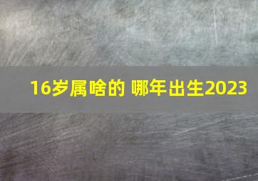 16岁属啥的 哪年出生2023